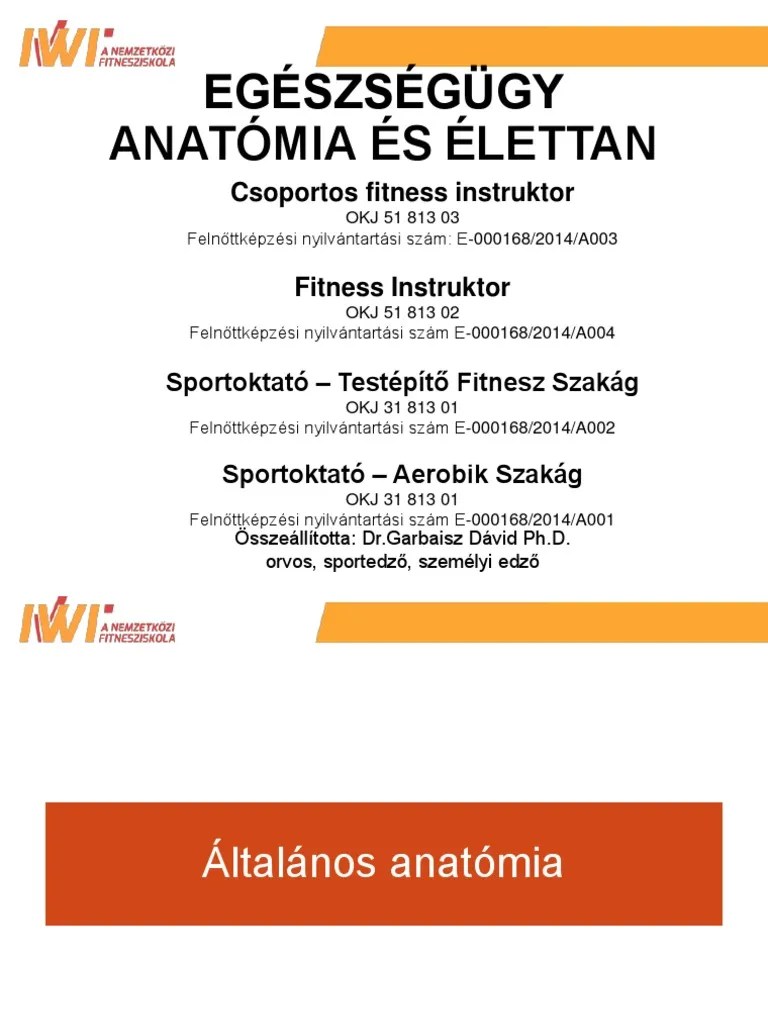 Anatom A Irene Henriquez Udocz - Download Gorgeous Colorful Picture | Mobile