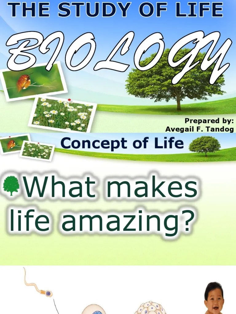 1 - Intro | PDF | Life | Organisms