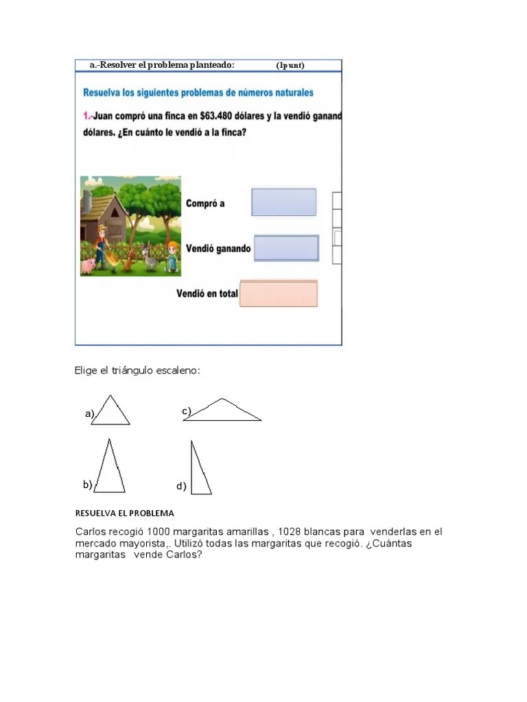 Preguntas De Matematica De Quinto | PDF