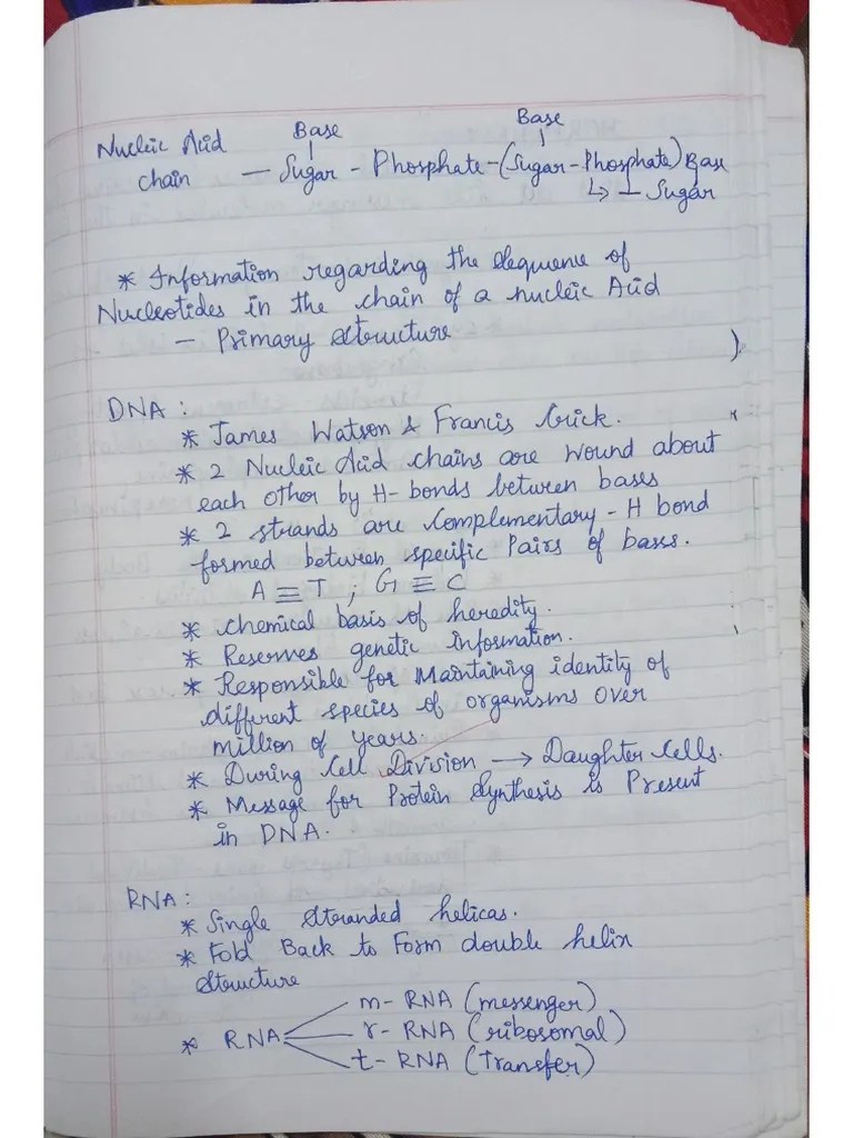 Difference Between Dna And Rna | PDF