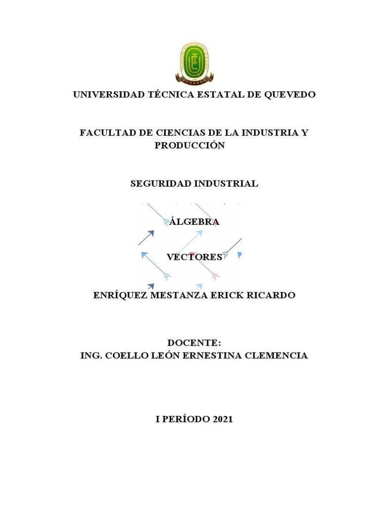 Vector Es | PDF | Vector Euclidiano | Sistema De Coordenadas Cartesianas