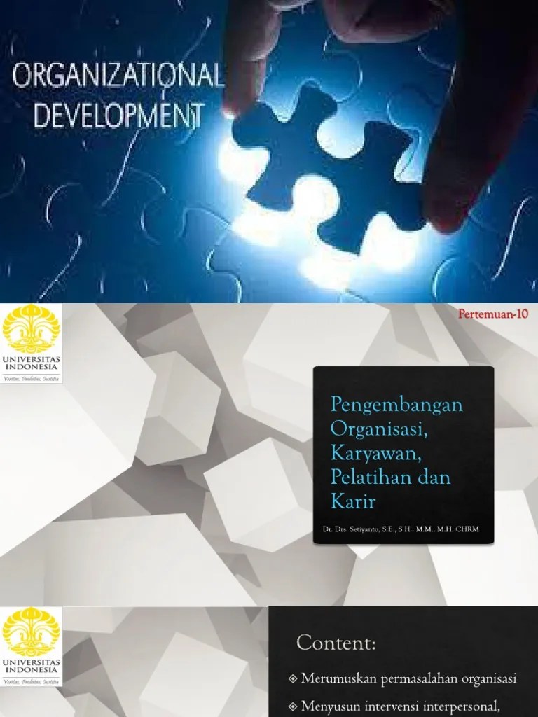 Modul 9 - Pengembangan Organisasi, Pengembangan Karyawan, Pengembangan Pelatihan Dan Karir | PDF