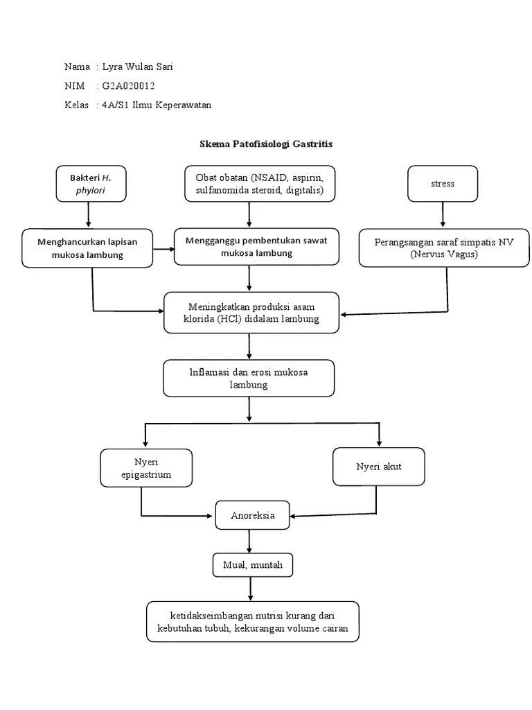 Skema Patofisiologi Gastritis | PDF