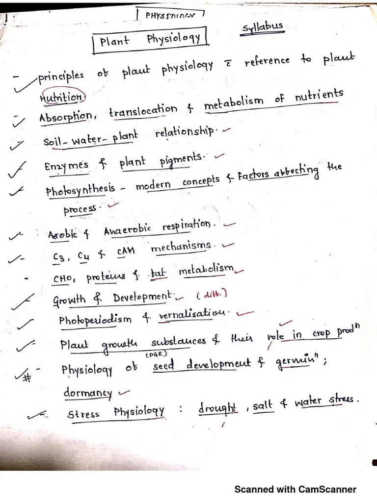 P2 4 Plant-Physiology | PDF