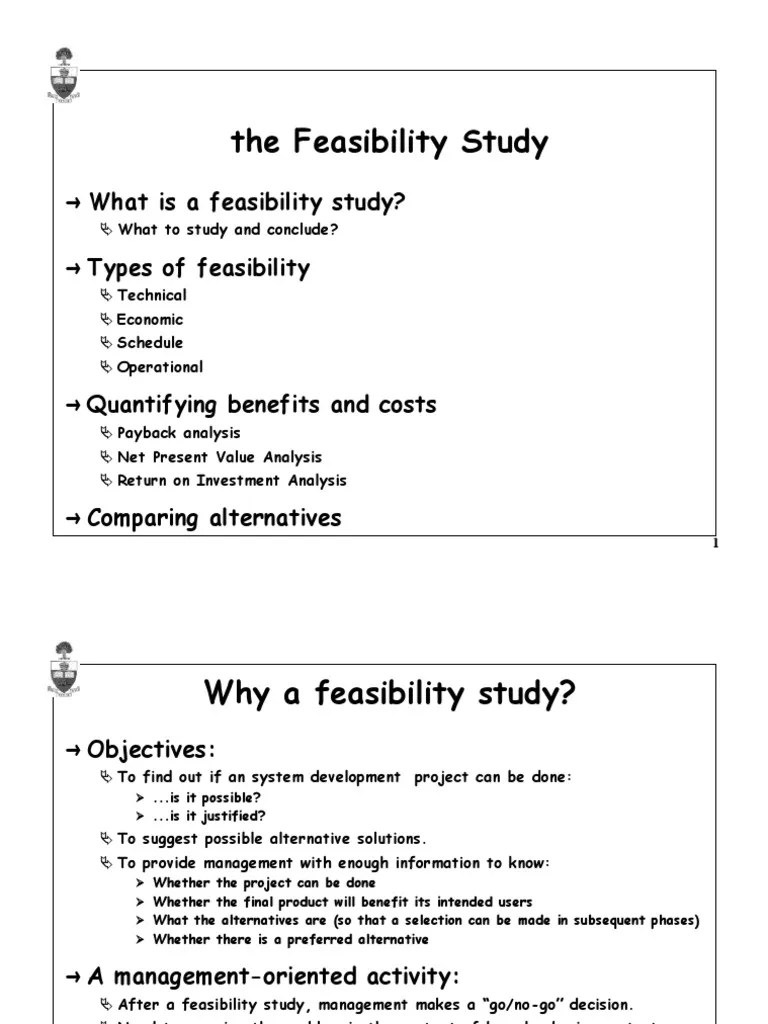 The Feasibility Study Edited | PDF