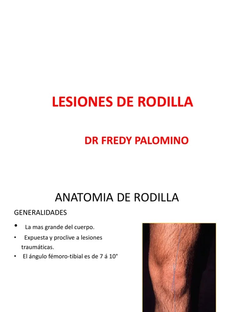 RODILLA | PDF | Rodilla | Anatomía Del Miembro Inferior