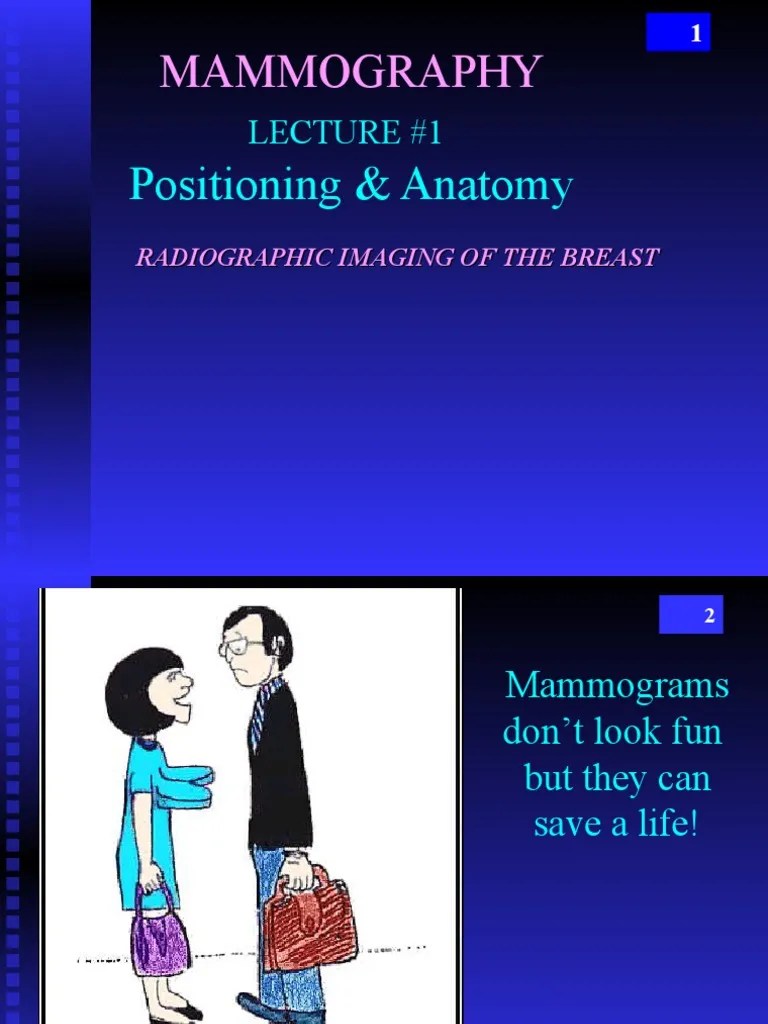Breast Imaging Mammography 1 And Anatomy | PDF | Breast | Mammography