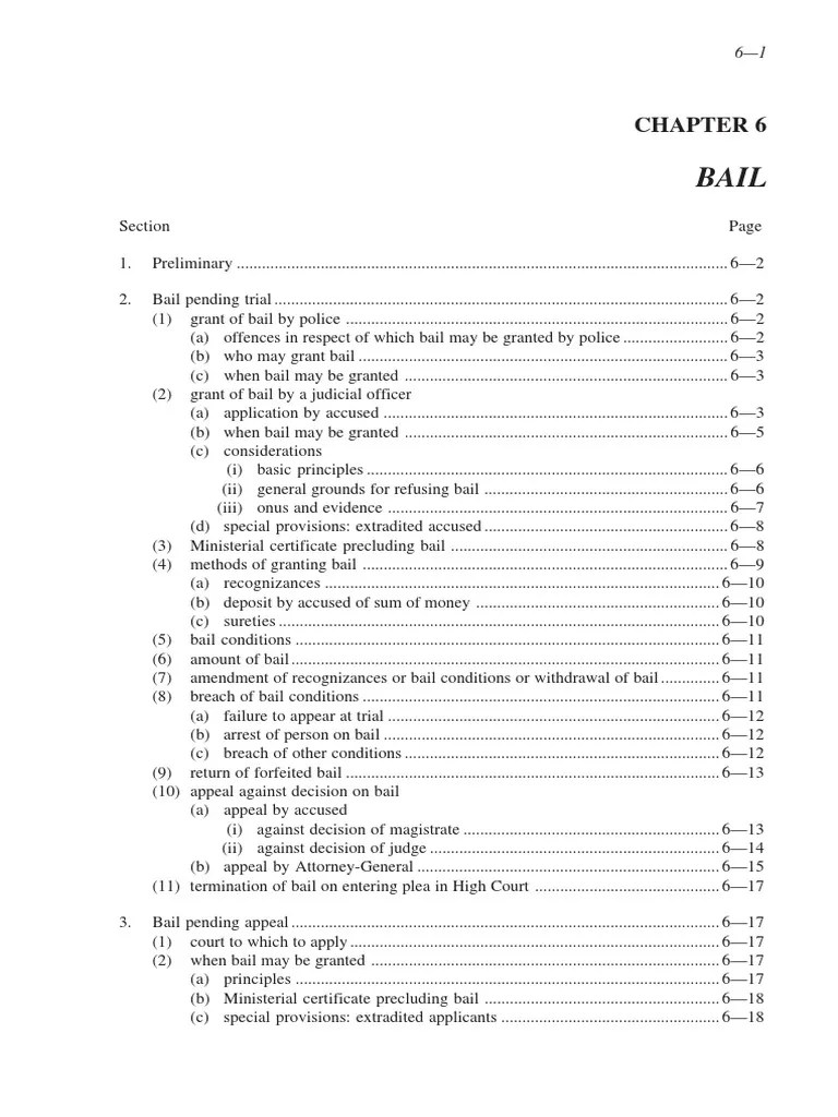 Chapter 6 - Bail | PDF | Bail | Criminal Procedure In South Africa