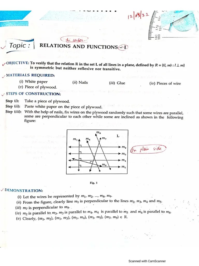 C12 Mathematics Practical | PDF