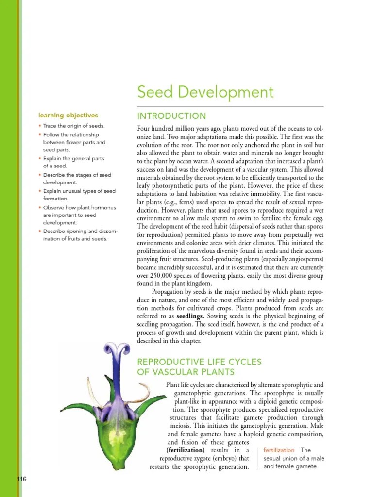 Seed Development Pdf Seed Fertilisation