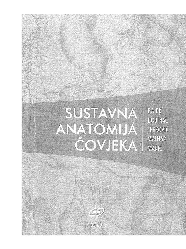 Anatomija Literatura - ORIGINAL | PDF
