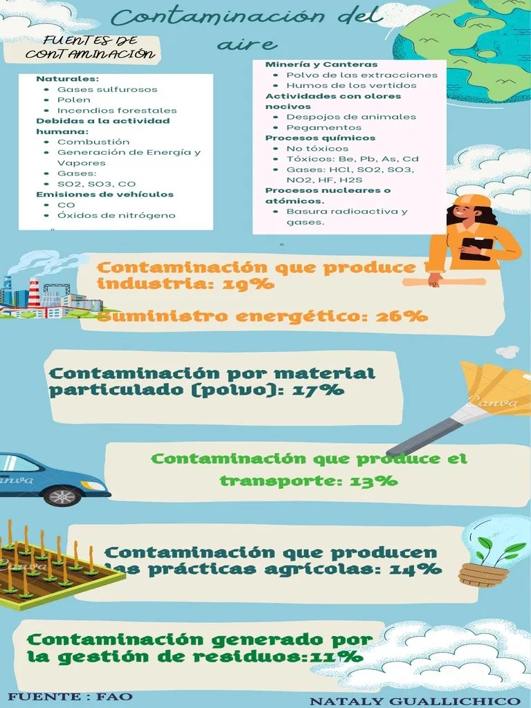 Contaminación Del Aire | PDF