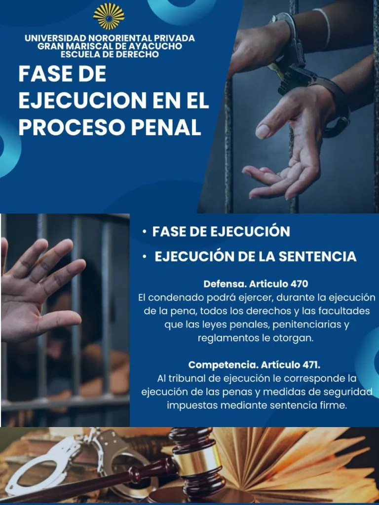 Derecho Procesal Penal | PDF