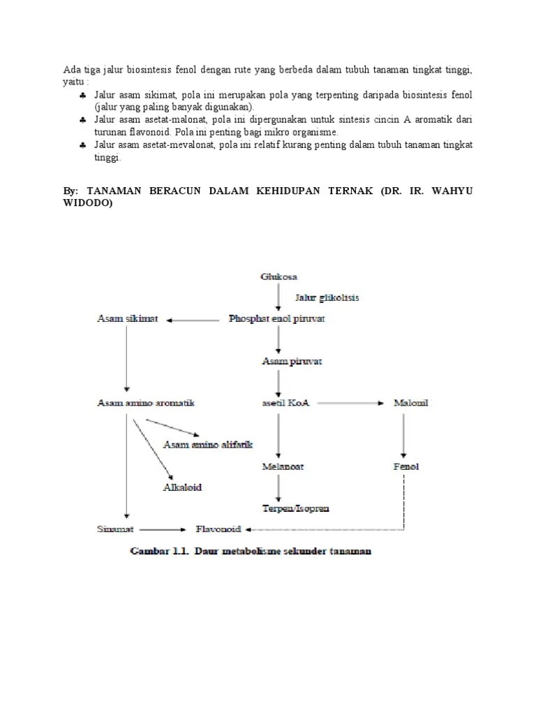 Mekanisme Terbentuknya Fenol | PDF