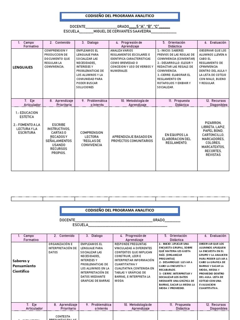 5° Codiseño Del Programa Analitico | PDF | Inclusión (Educación ...