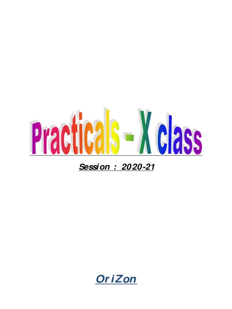 Practicals For 10th Class 2020-21 | PDF | Software Testing | Spreadsheet