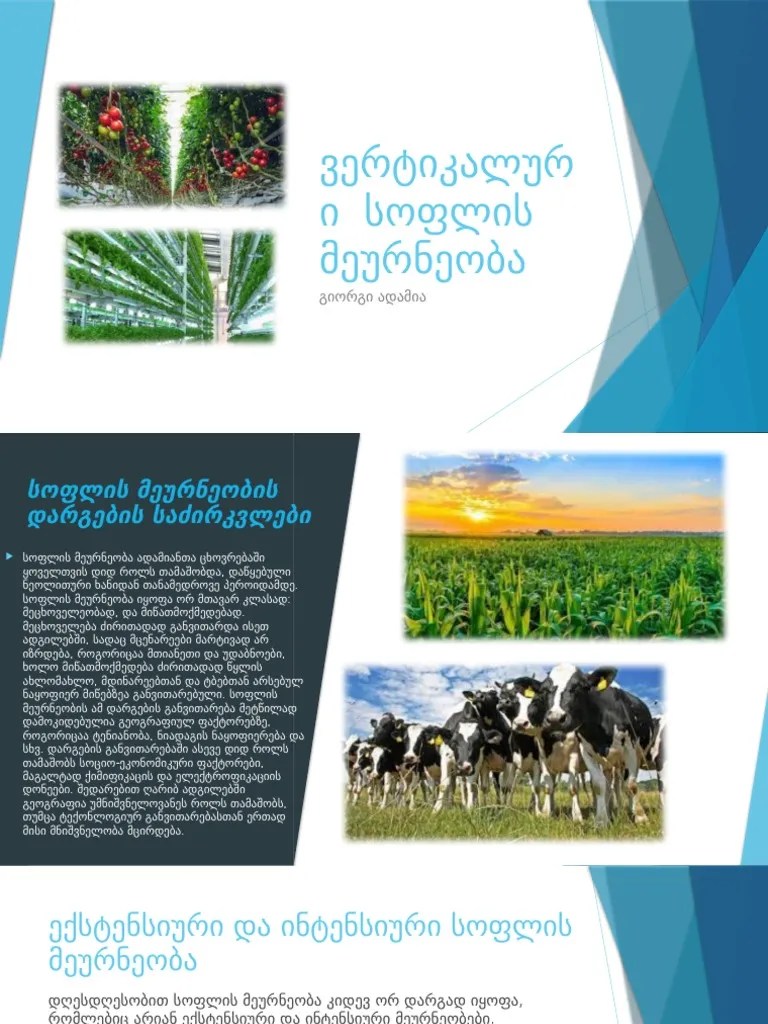 გეოგრაფია კომპლექსური | PDF