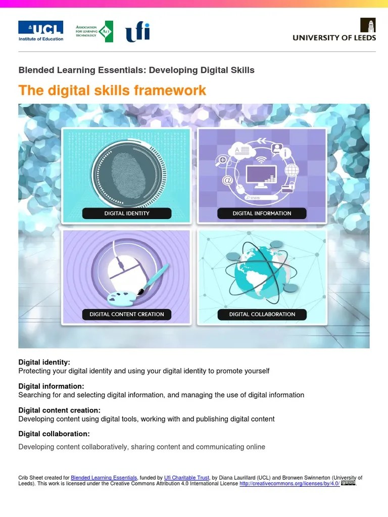 Step 1.3 Digital Skills Framework V5 | PDF | Employment | Small And Medium Sized Enterprises