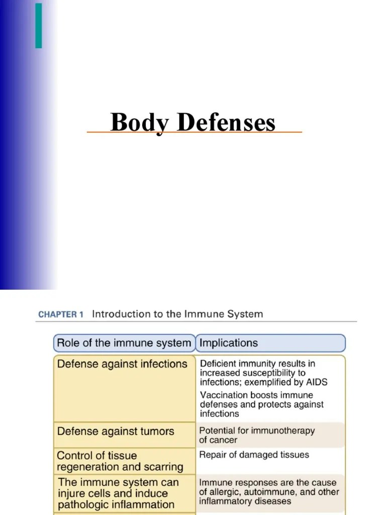 Introduction To Immune Sytem | PDF | Lymphatic System | Lymph