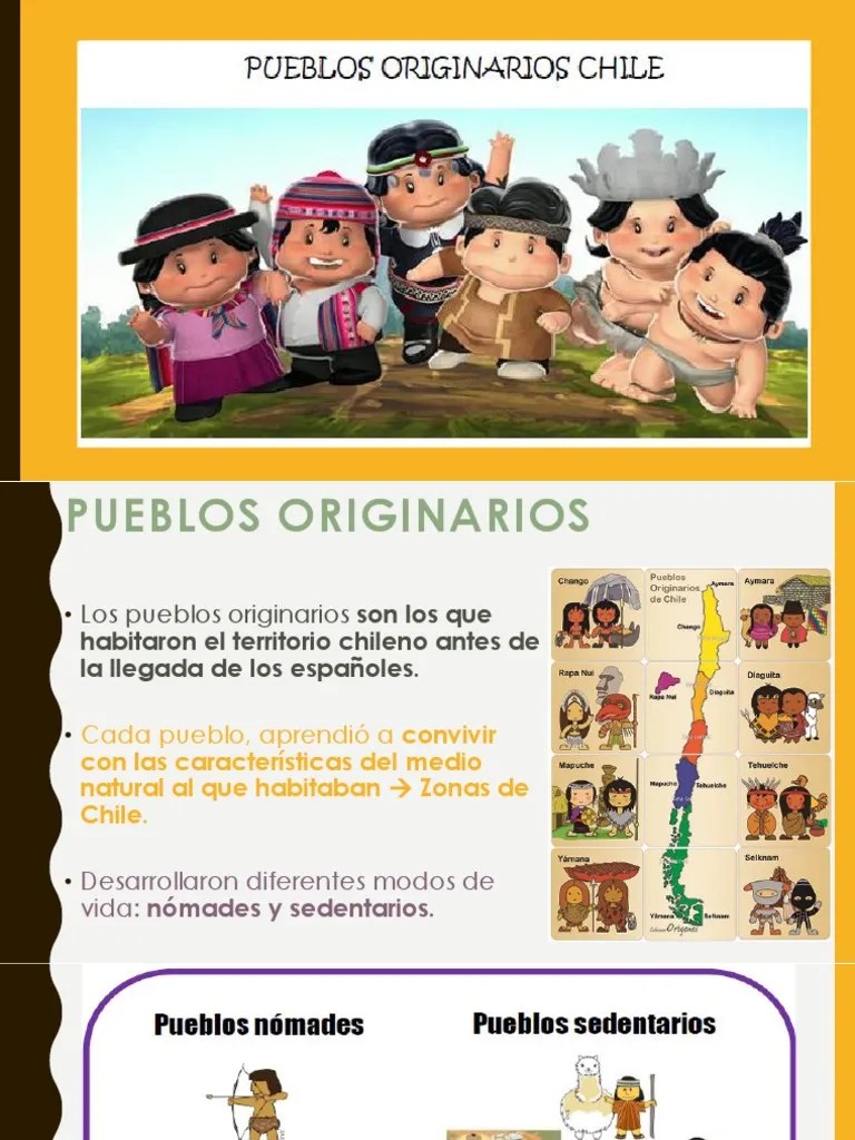 Pueblos Originarios | PDF