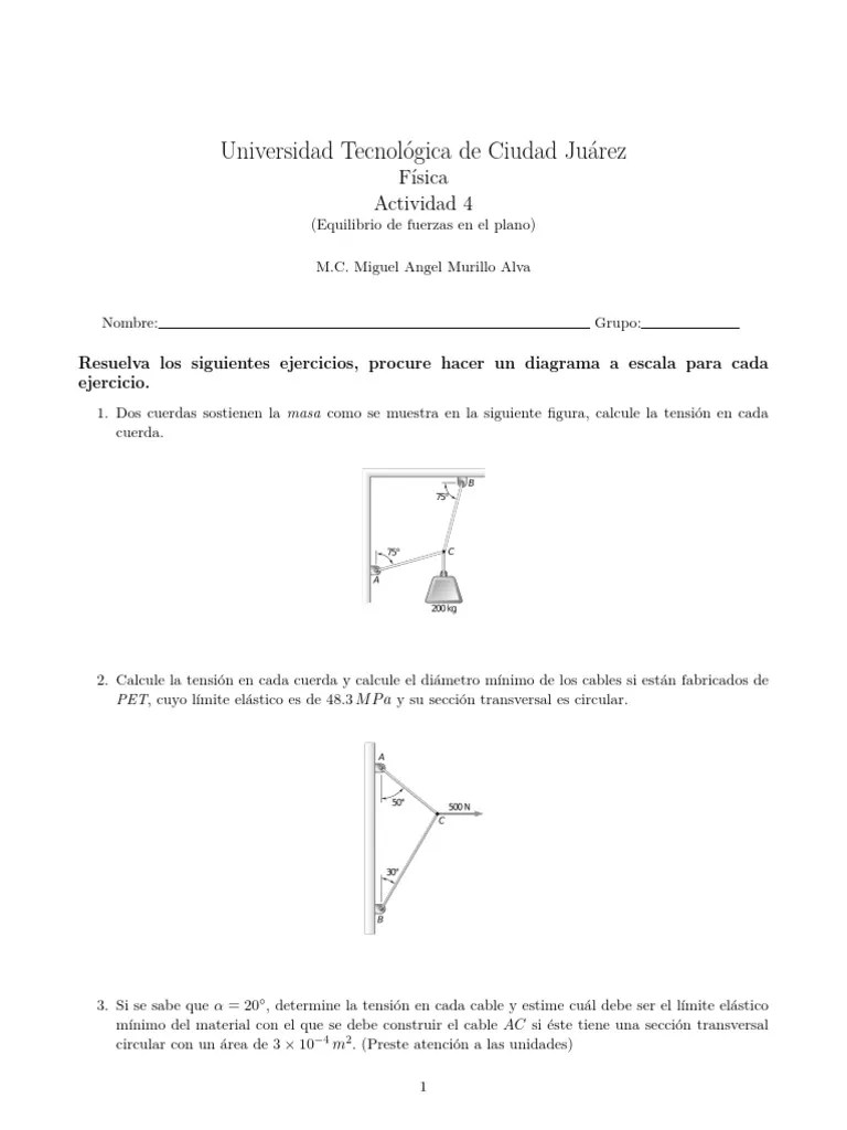 Actividad Equilibrio | PDF