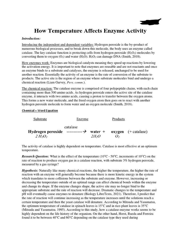 Enzyme Lab Report | PDF | Enzyme | Catalase