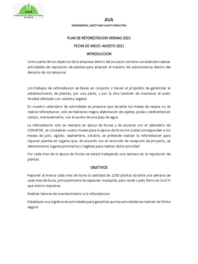 Plan De Reforestacion Verano 2021 | PDF | Riego | Los Bosques