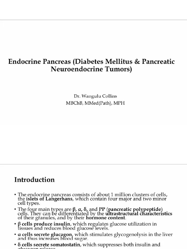Endocrine Pancreas Pathology | PDF