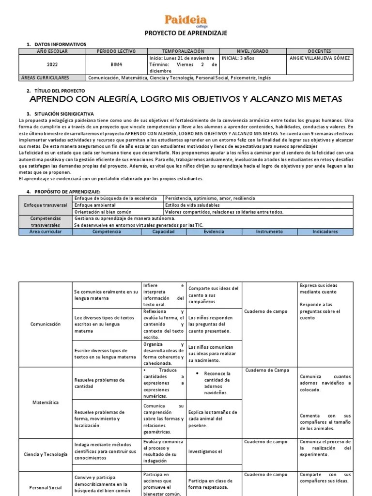 Proyecto navideño