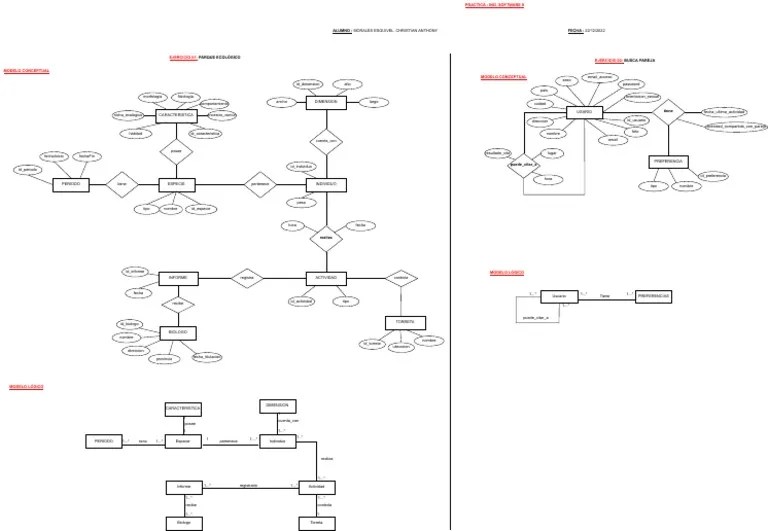 Software Practica | PDF