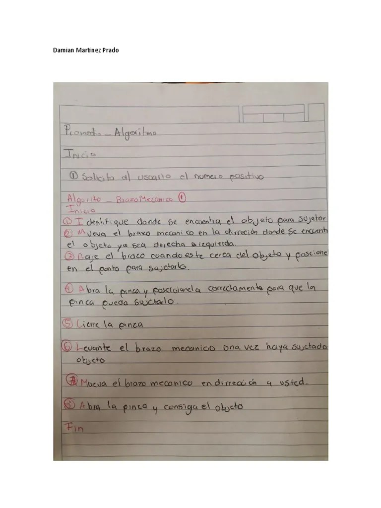 Programación Algoritmos | PDF