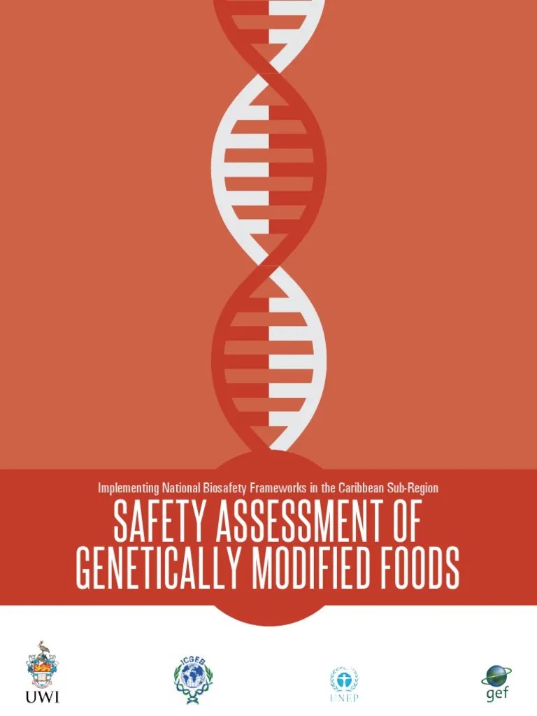 Safety Assessment Of GM Foods | PDF | Genetically Modified Food ...