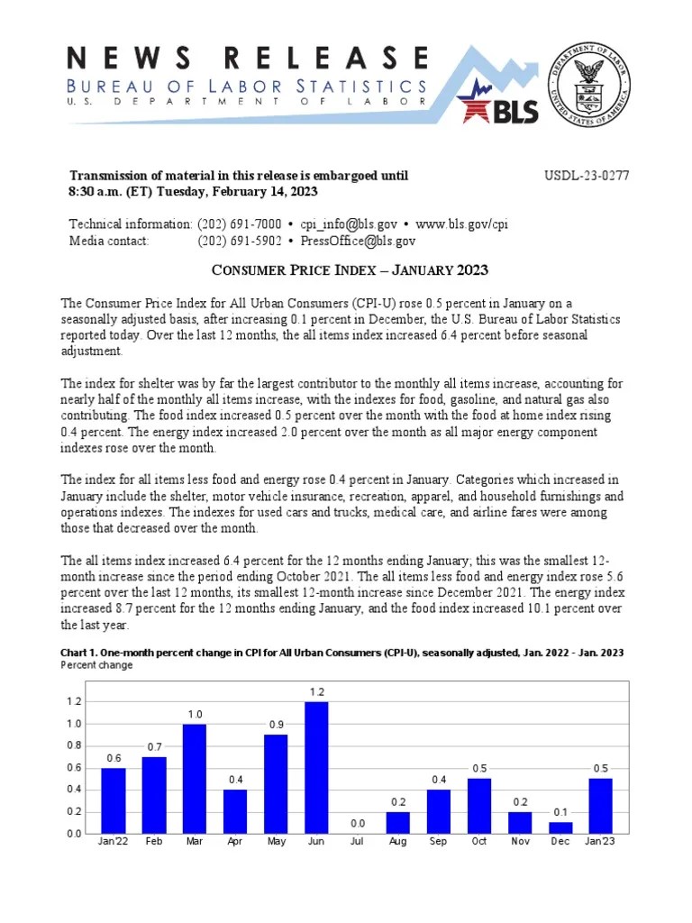 Cpi Index | PDF | United States Consumer Price Index | Consumer Price Index