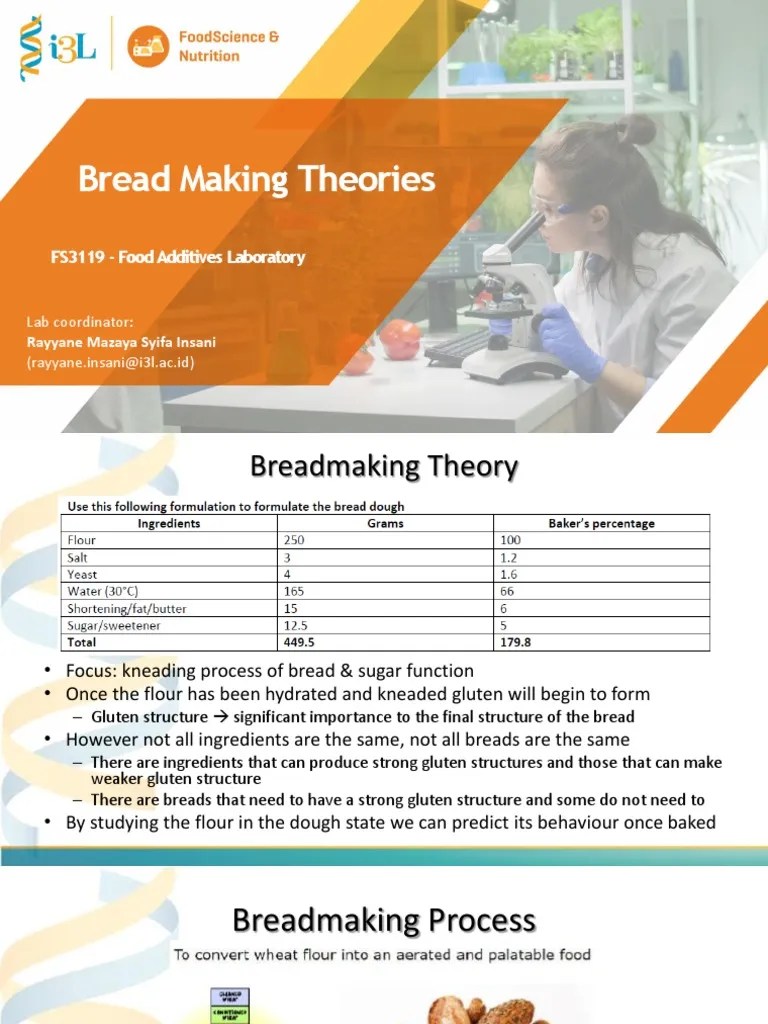 Bread Making Theories | Download Free PDF | Breads | Gluten