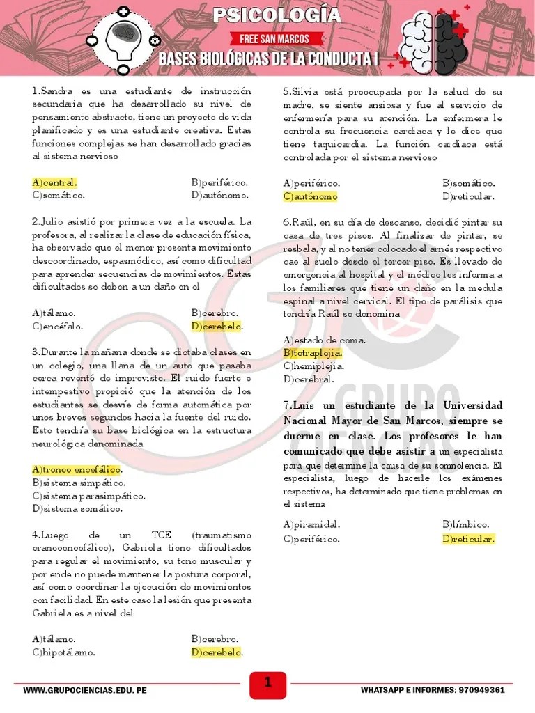 Bases Biologias De La Conducta I | PDF | Cerebro | Órgano (anatomía)