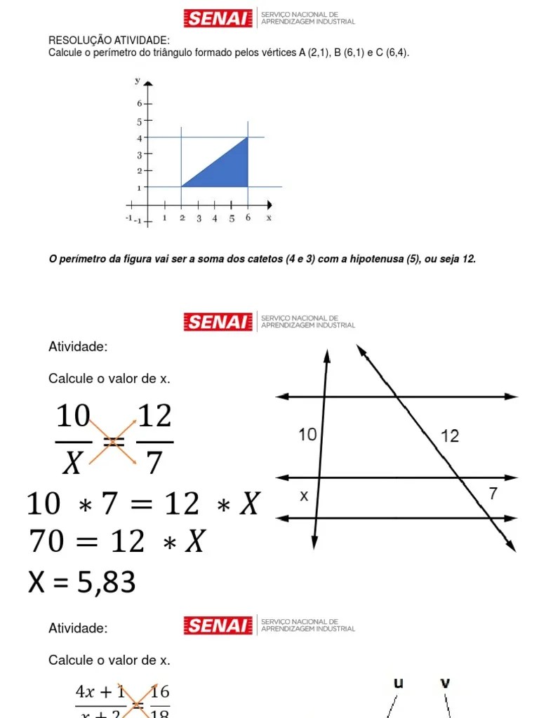 02 - Geometria Plana - Conceitos - EXERCÍCIOS RESOLVIDOS | PDF
