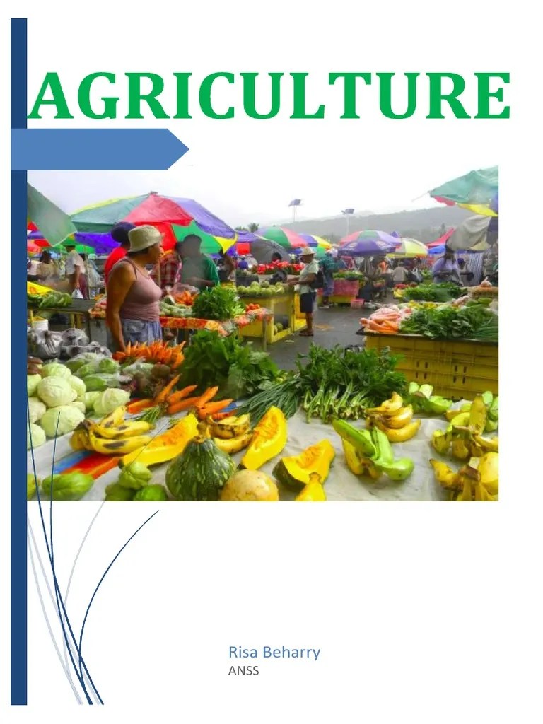 Agriculture Assignment | PDF | Agriculture | Crop Rotation