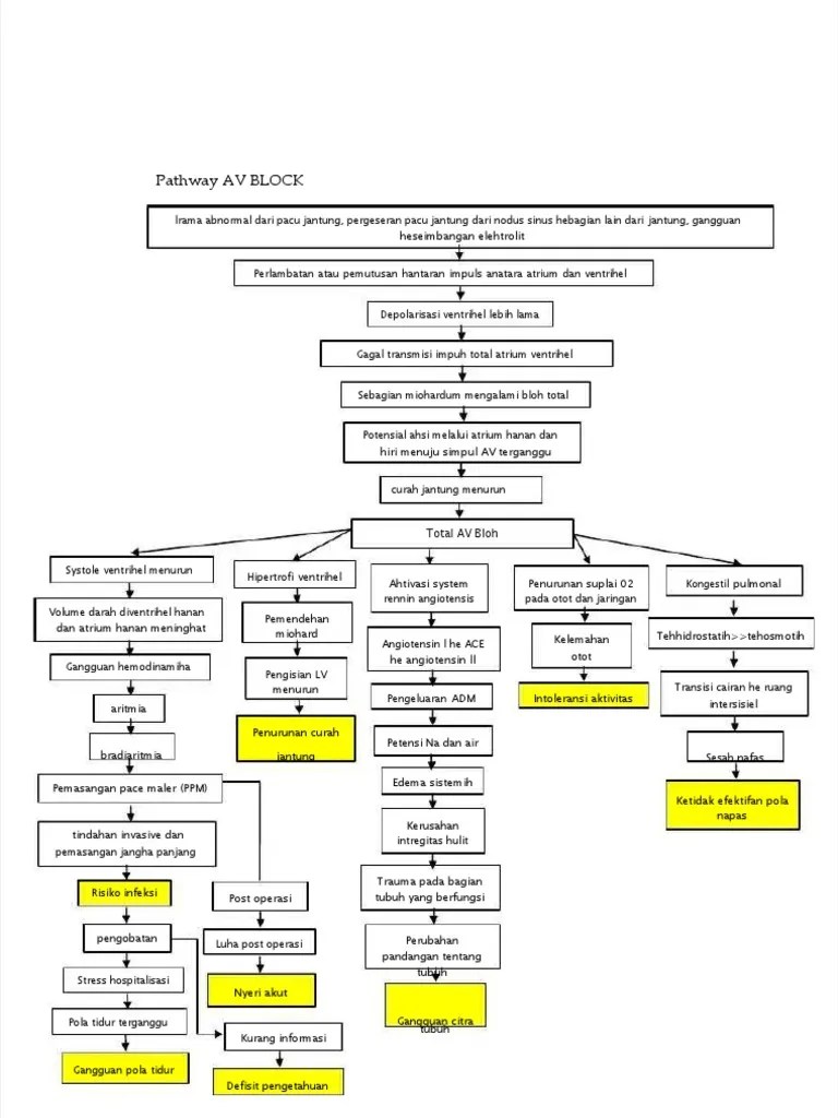 AV Blok Total Dan Tindakan PPM | PDF