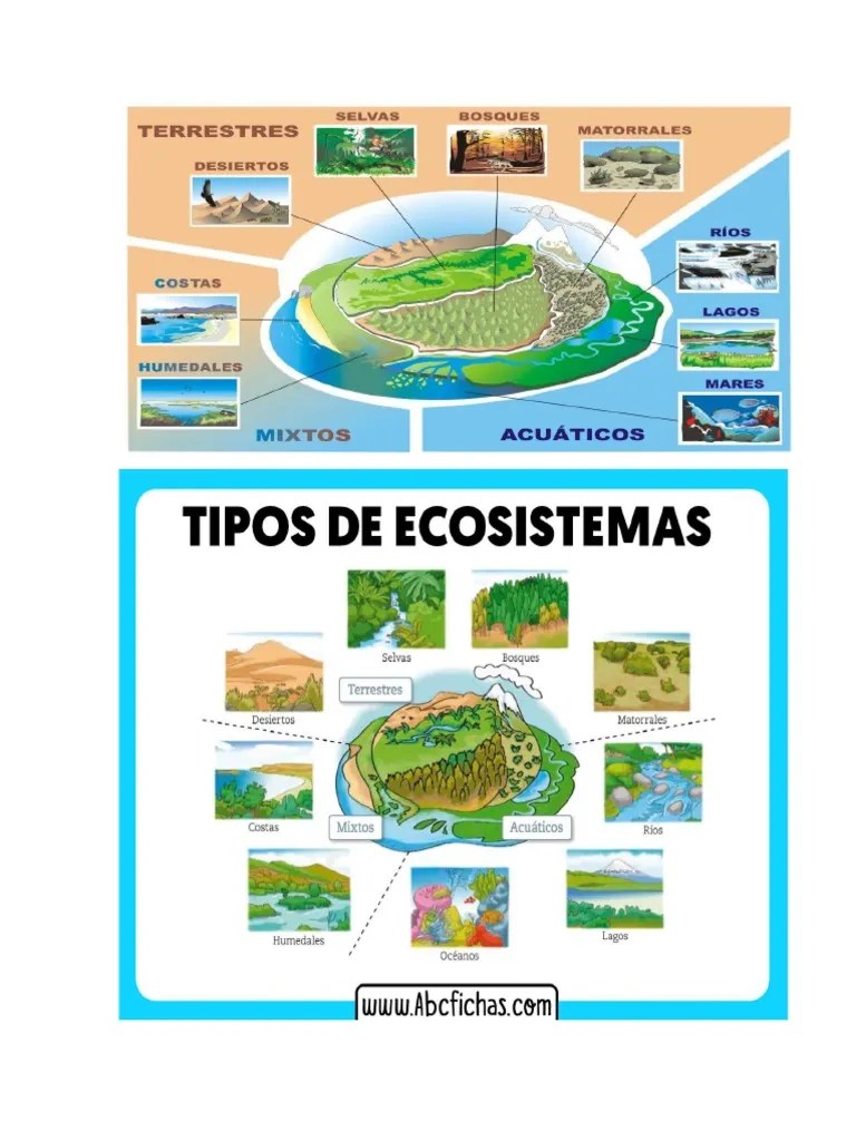 Ecosistemas | PDF