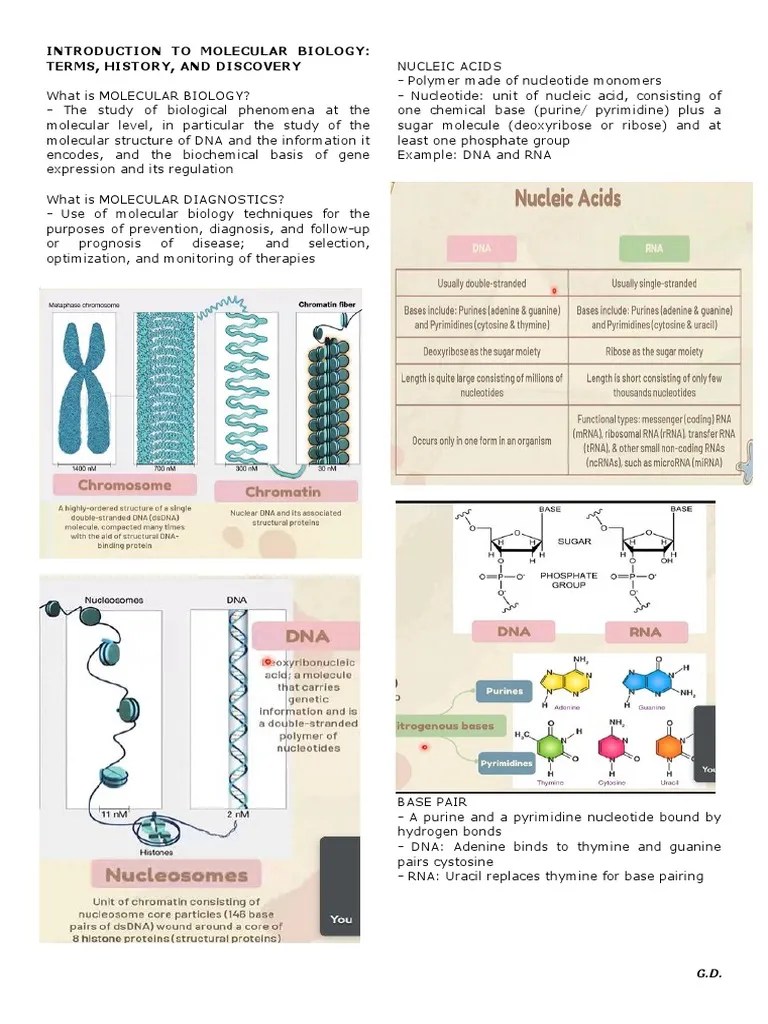 Introduction To Molecular Biology | PDF | Gene | Dna
