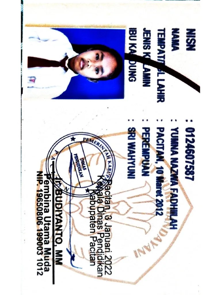 Pengertian Dan Jenis Jenis Dokumen Pdf - Download Elegant Sunset Illustration | Full HD