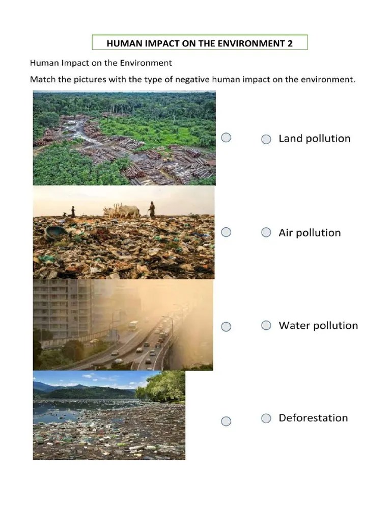 Human Impact On The Environment Worksheet | PDF