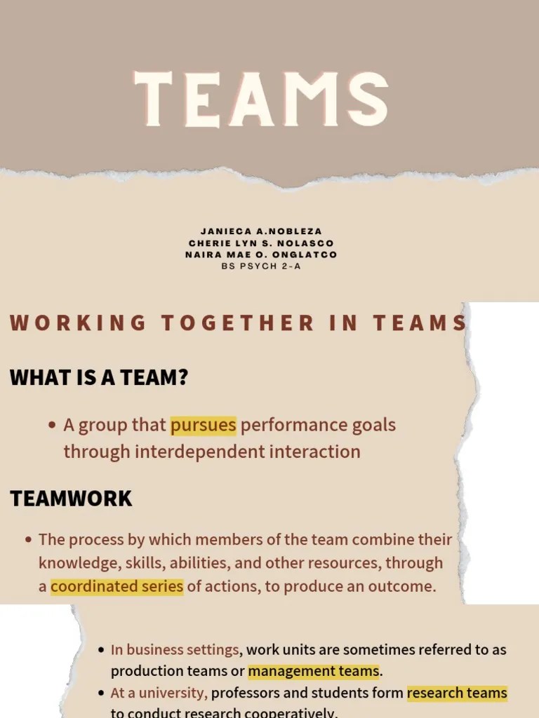 TEAMS Group Dynamics | PDF | Group Cohesiveness | Decision Making