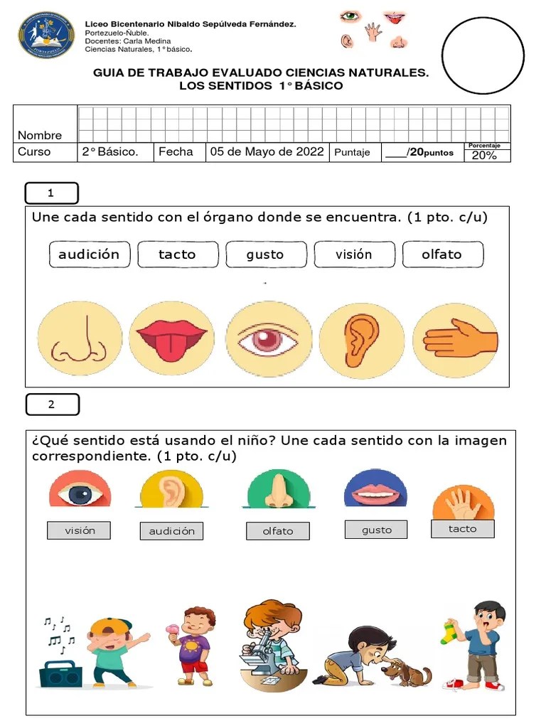 Ciencias 1 | PDF