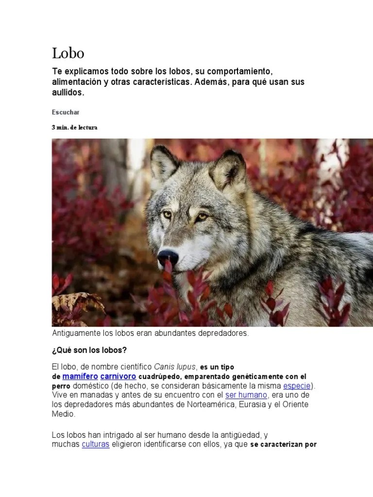 Lobos Salvajes | PDF | Mamíferos