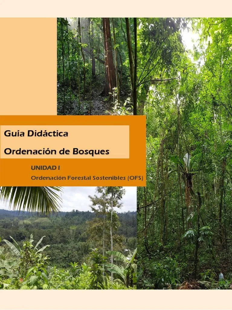 Guia 1 PDF | PDF | Los Bosques | Ecosistema