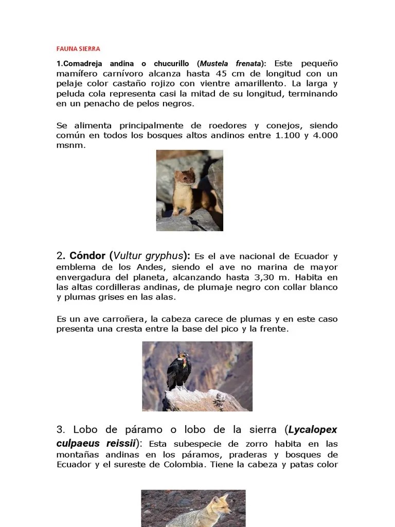 FAUNA Y FLORA SIERRA | PDF | Quinua | Arboles