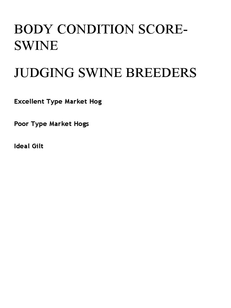 Swine Scoring | PDF