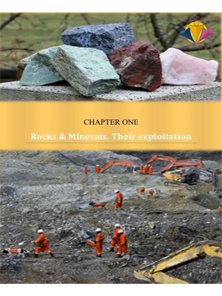 Chapter 1 - Paper 1 | PDF