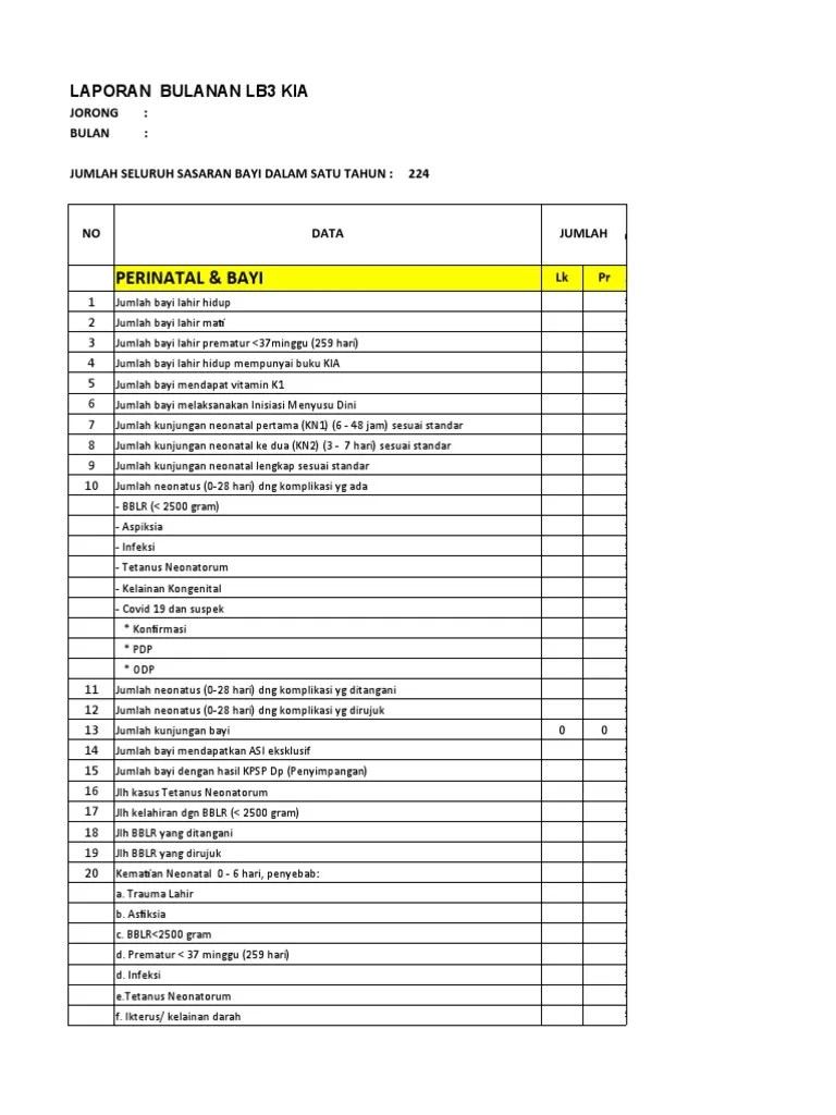 Format Revisi Laporan LB3 Anak 2023 | PDF